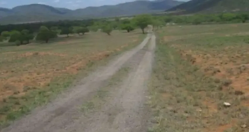 GRANDE OPORTUNIDADE PARA ADQUIRIR EXCELENTE FAZENDA ÀS MARGENS DA BR 116, NA REGIÃO DE JEQUIÉ - BAHIA!!