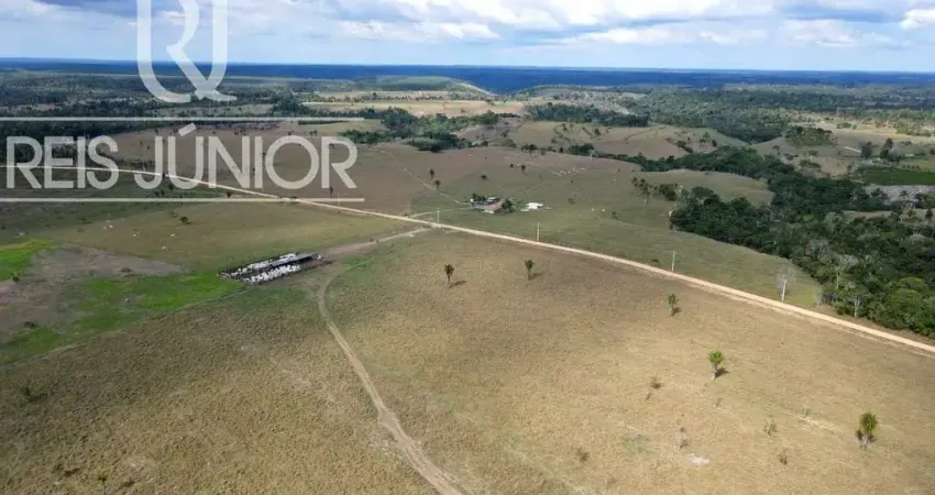 Fazenda de 1.240 hectares à venda em Mascote-BA: sua oportunidade de investimento no campo!