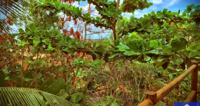 Apartamento com 2 quartos à venda na Jardim Imbassai, sn, Imbassai, Mata de São João