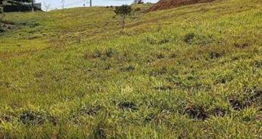 Terreno à venda, 1200 m² por R$ 265.000,00 - Caçapava Velha - Caçapava/SP