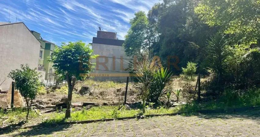 Terreno para comprar no loteamento santo andré  bairro santa catarina em caxias do sul