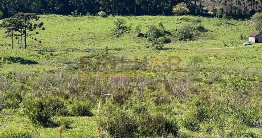 Terreno à venda na Vila Oliva, Vila Oliva (Distrito), Caxias do Sul