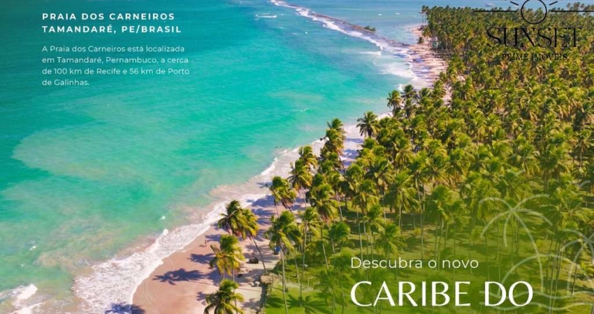 Studios e Aptos 1 e 2 quartos com Preços de Lançamento na PRAIA DOS CARNEIROS - TAMANDARÉ - PE. Garanta o seu!!!