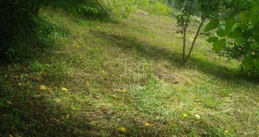 Chácara com 2 dormitórios à venda, 1600 m² por R$ 265.000,00 - Pinguela - Camanducaia/MG