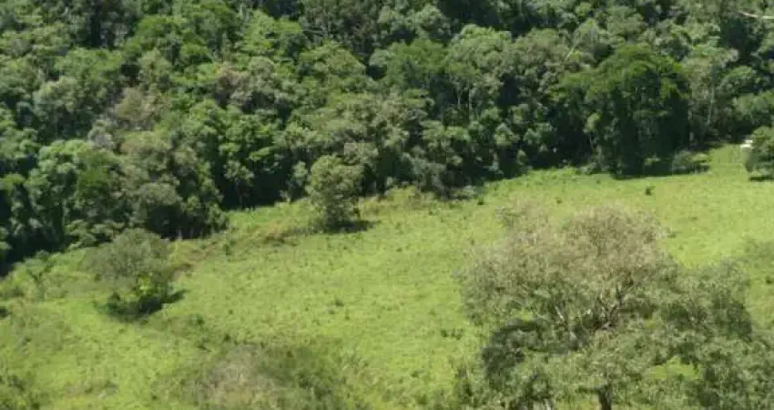 Fazenda à venda no Centro, Caldas 