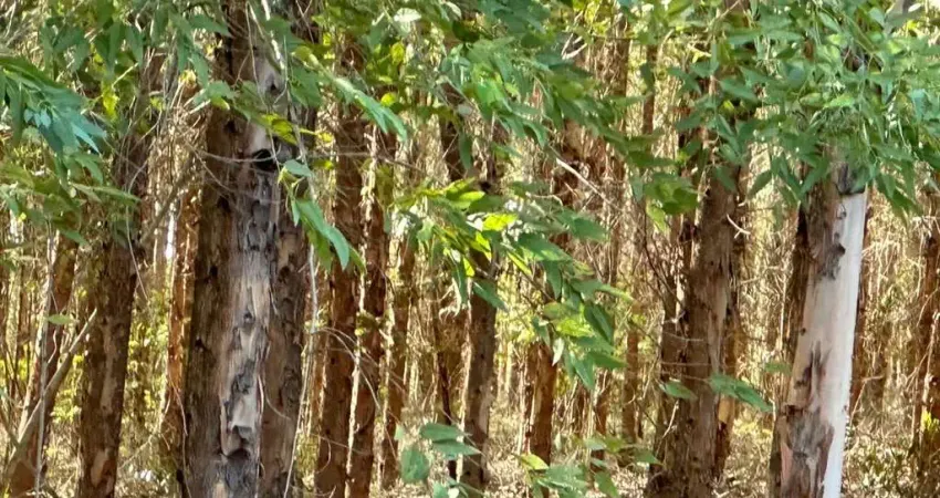 Fazenda à venda no bairro Centro - Montes Claros/MG