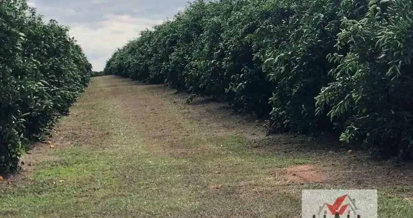 Fazenda à venda na Rua Nove de Julho, Centro, Marília