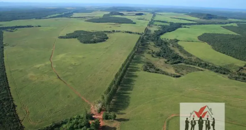 Fazenda à venda no Centro, Tocantins 