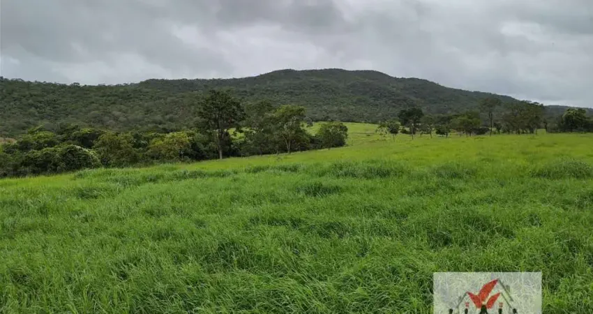 Fazenda à venda no bairro Área Rural de Unaí - Unaí/MG