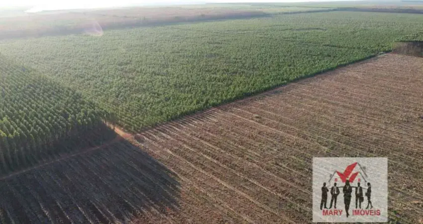 Fazenda à venda no Centro, Buritizeiro 