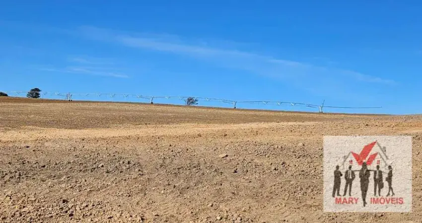 Fazenda à venda no Centro, Casa Branca 