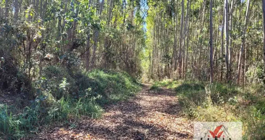 Fazenda à venda no Centro, Poços de Caldas 