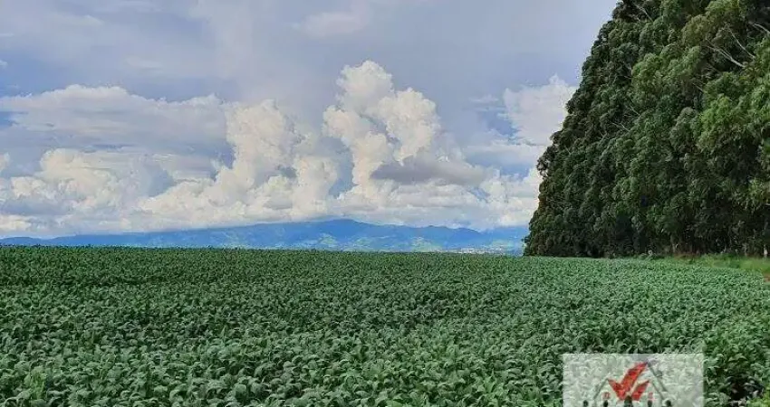 Fazenda à venda no bairro Centro - São João da Boa Vista/SP