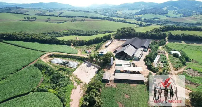 Fazenda à venda no Centro, São Lourenço 
