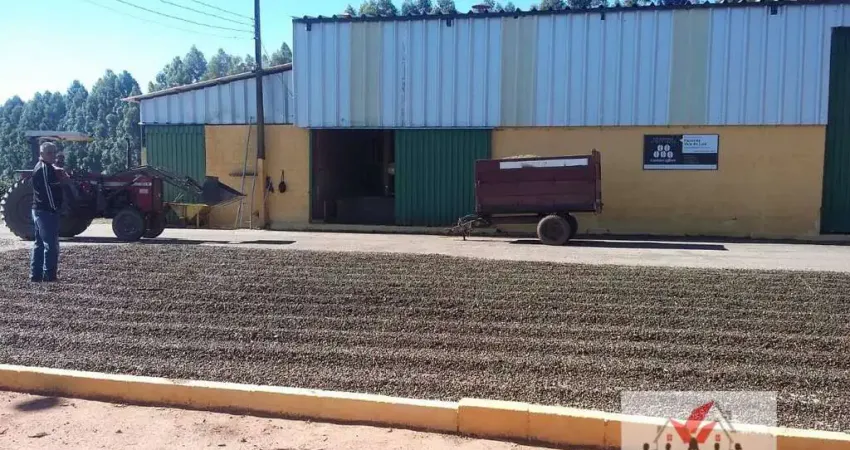 Fazenda à venda no Conjunto Minas Gerais, Varginha 