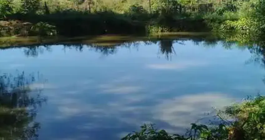 Fazenda à venda no bairro Jardim Planalto - Jaguariúna/SP