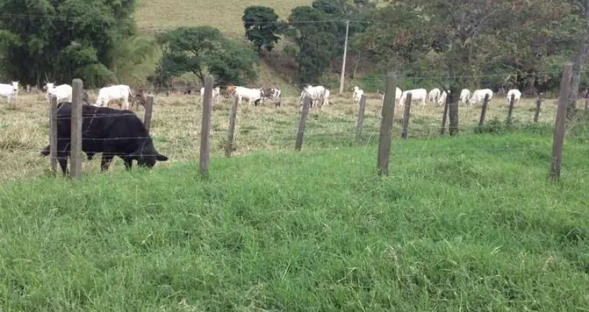 Fazenda à venda no Centro, Vargem Grande do Sul 