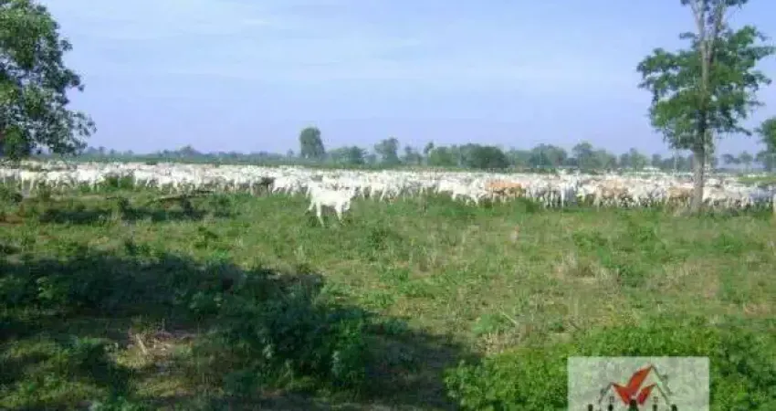 Fazenda à venda na Estrada Transpantaneira, Zona Rural, Poconé