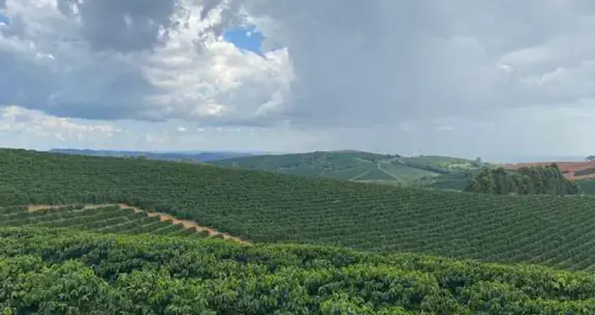 Fazenda à venda no Centro, Guaxupé 