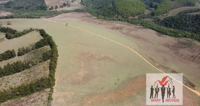 Fazenda à venda no bairro Centro - Antônio Carlos/MG
