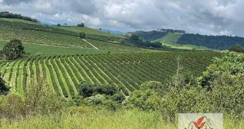 Fazenda à venda no Centro, Caconde 