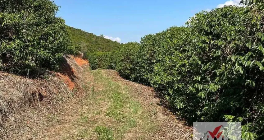 Fazenda à venda na Avenida Coronel Cândido de Castro Coutinho, Centro, Pouso Alegre