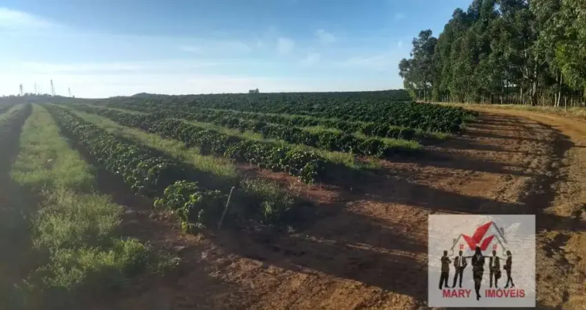 Fazenda à venda no Centro, Araxá 
