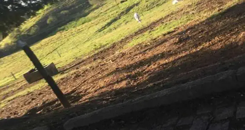 Fazenda à venda no bairro Centro - Bragança Paulista/SP