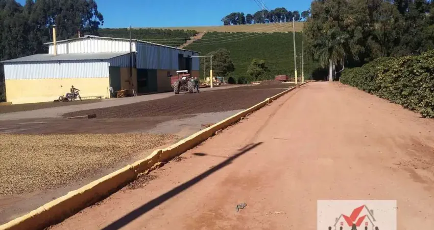Fazenda à venda no Centro, Campanha 
