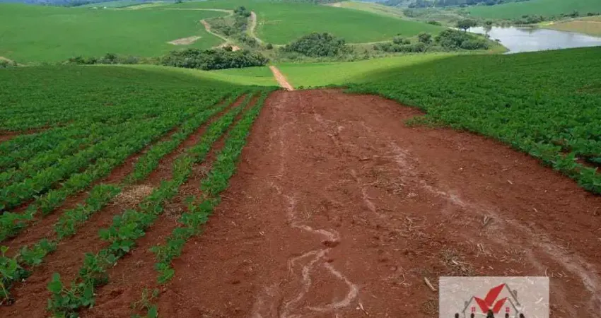 Fazenda à venda no Centro, Minduri 