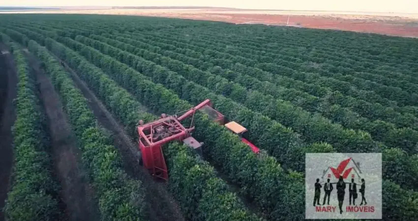 Fazenda à venda no Centro, Buritizeiro 