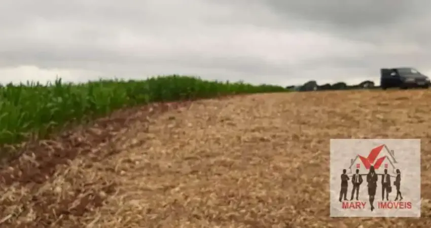 Fazenda à venda no Centro, Machado 
