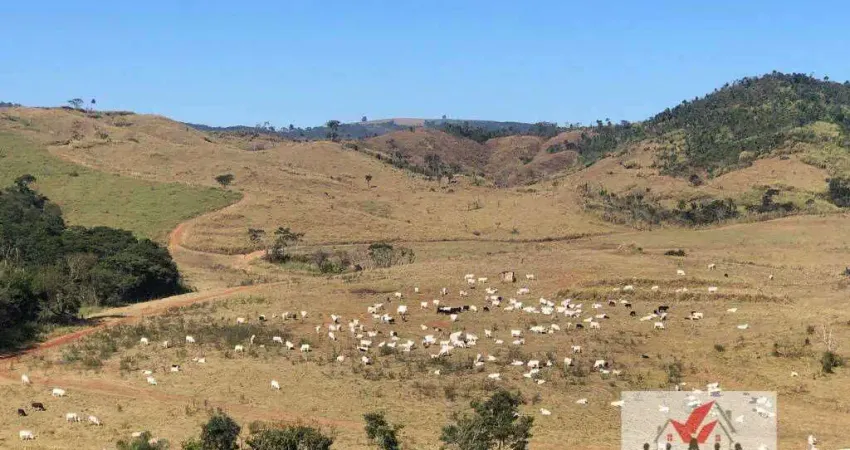 Fazenda à venda no Centro, Caconde 