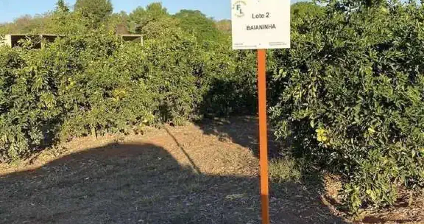 Fazenda à venda no Centro, Januária 