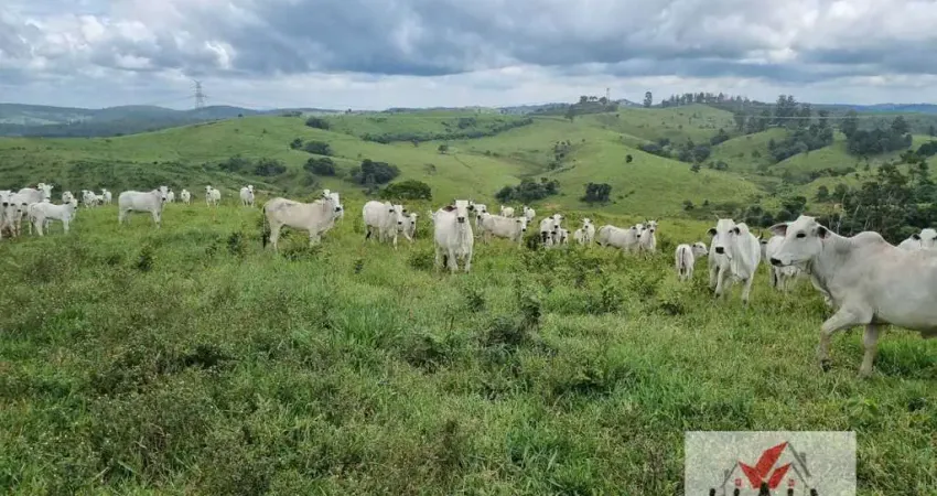 Fazenda à venda no Centro, Jacutinga 