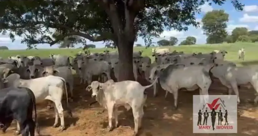 Fazenda à venda no bairro Centro - Capitão Enéas/MG