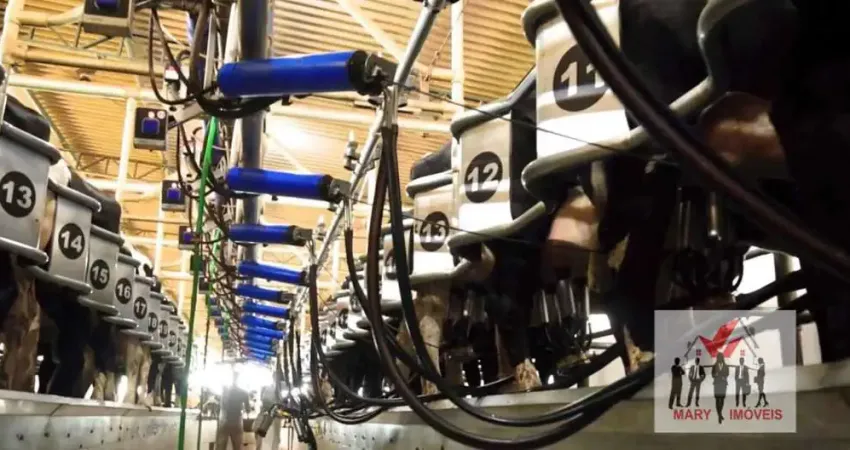 Fazenda à venda no Centro, Cachoeira de Minas