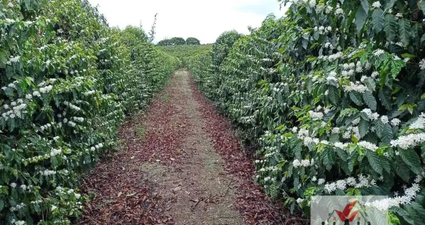 Fazenda à venda no Centro, Lavras 