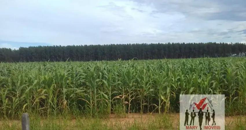 Fazenda à venda no Centro Sul, Cuiabá 