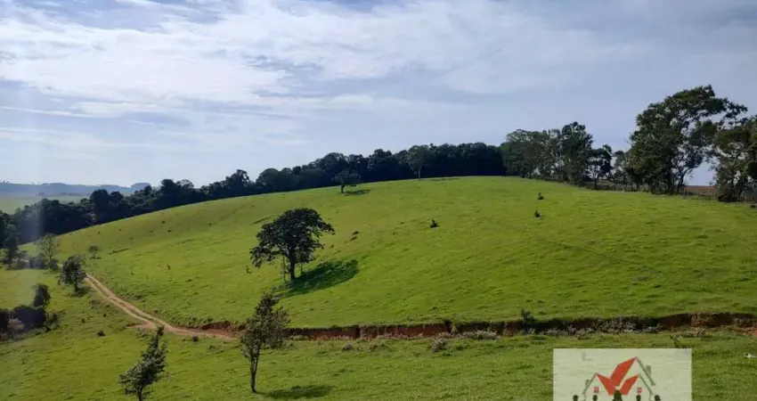 Sítio à venda no bairro Centro - Poços de Caldas/MG