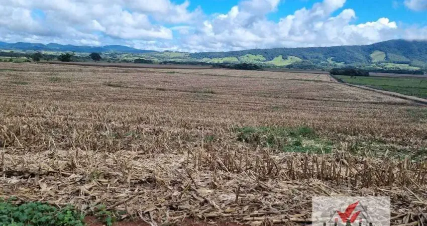 Fazenda à venda no Centro, Pouso Alegre 