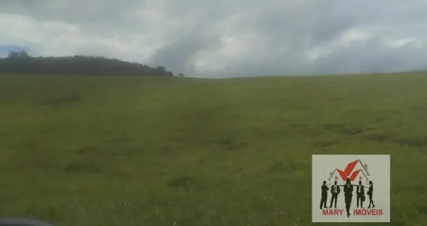 Fazenda à venda no Centro, Caconde 