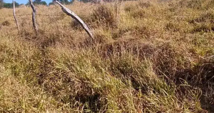 Fazenda à venda na Área Rural de Poços de Caldas, Poços de Caldas 