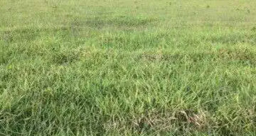 Fazenda à venda no bairro Vila Ramos - Pouso Alegre/MG