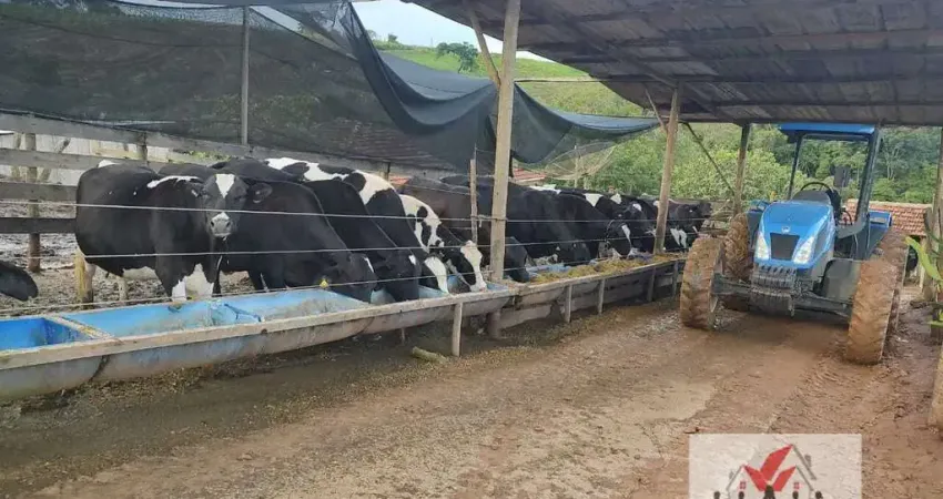 Sítio à venda no bairro Centro - Poços de Caldas/MG