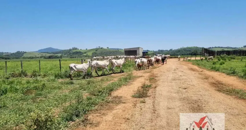 Fazenda à venda no Centro, Pouso Alegre 