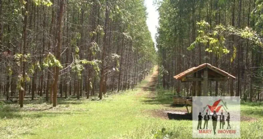 Fazenda à venda no bairro Área Rural de Unaí - Unaí/MG
