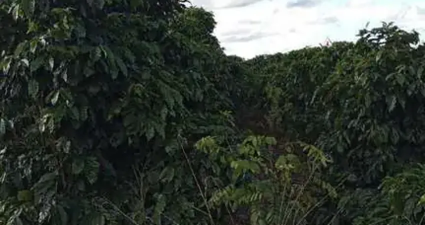 Fazenda à venda no Centro, Campestre 