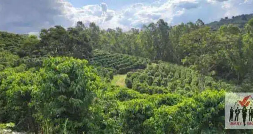 Fazenda à venda no Centro, Botelhos 