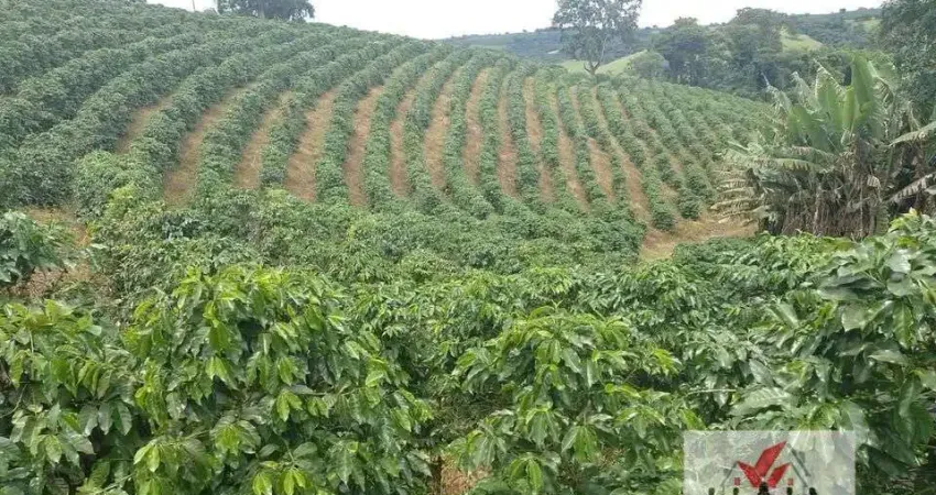 Fazenda à venda no Centro, Campestre 